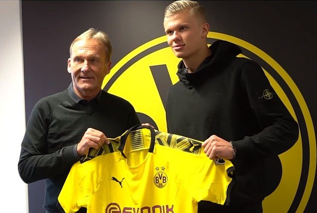 《无尽的拉格朗日》四年坚守初心，在荒漠植下五万株绿色希望！